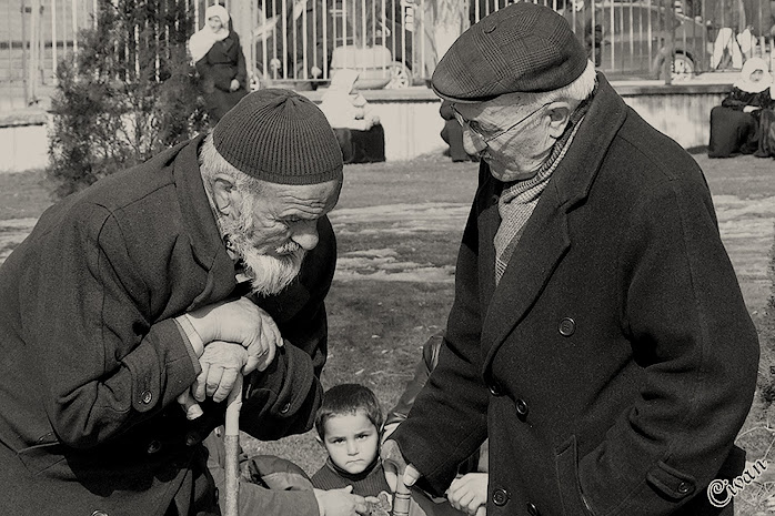 İki çınar bir fidan