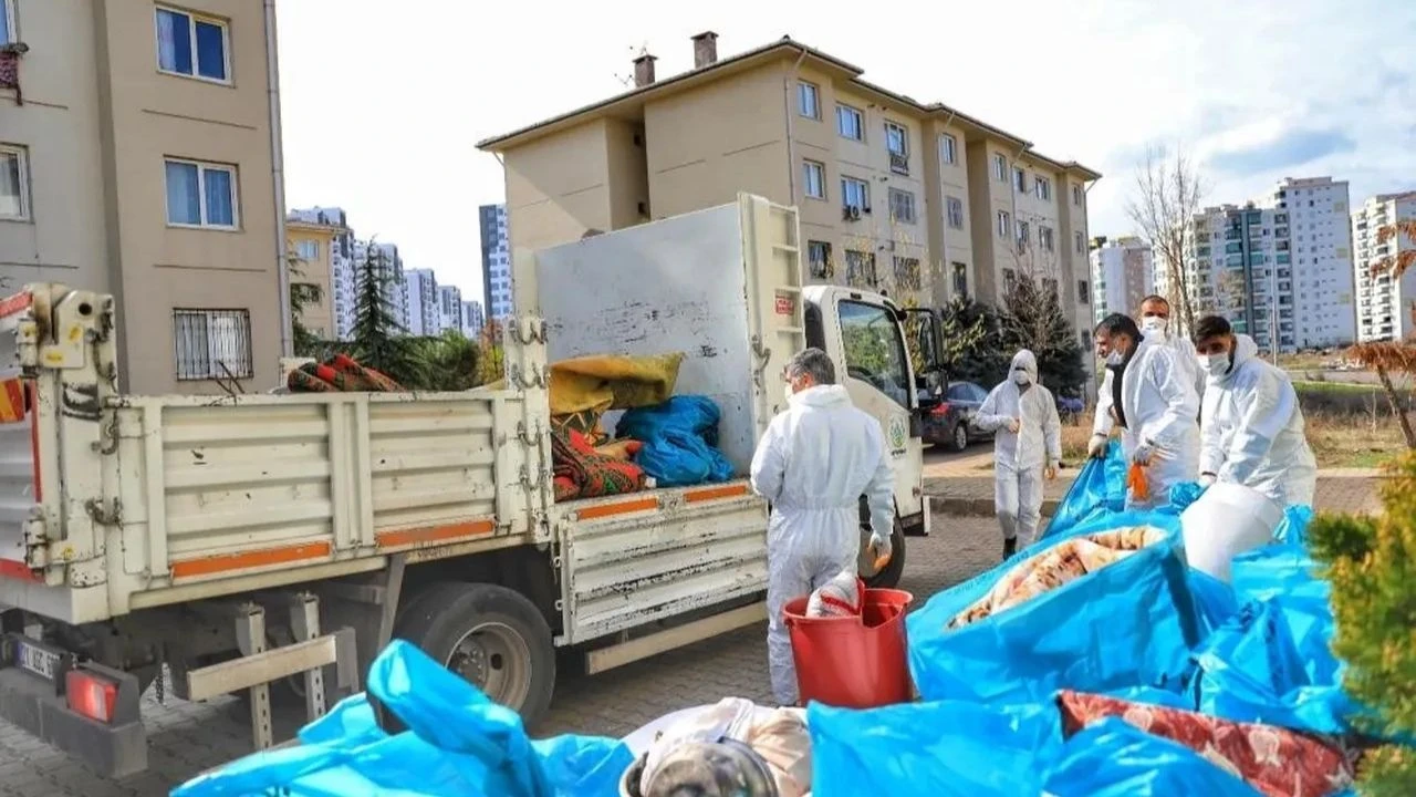 Evin içinden şok edici manzara çıktı!