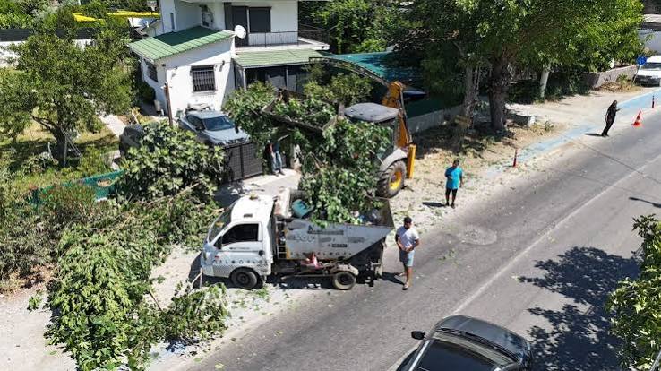 Seferihisar’da hizmet atağı: İlçenin dört bir yanında çalışmalar sahada