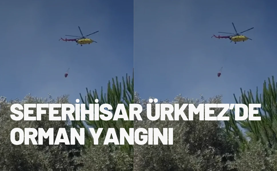 Seferihisar Ürkmez’de orman yangını: Söndürme çalışmaları sürüyor